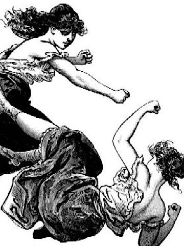 Either this is Palin v. Bachmann, or Dina and Keileigh doing Foxy Boxing at the Leaping Peacock.