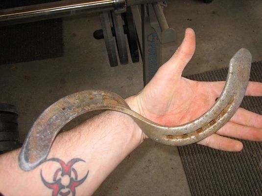 Draft Horse Shoe