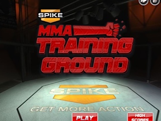 MMA Training Ground