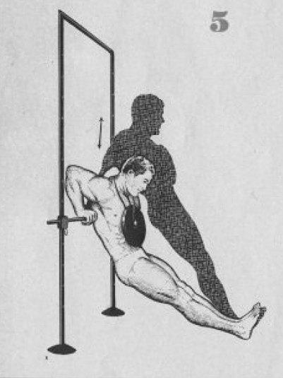 Weighted dip in rack Weighted dip in rack