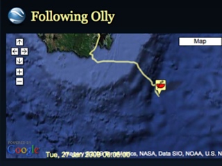 Following Olly